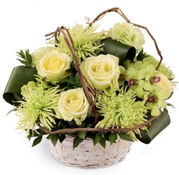Basket of Dreams Arrangement from Lloyd's Florist, local florist in Louisville,KY